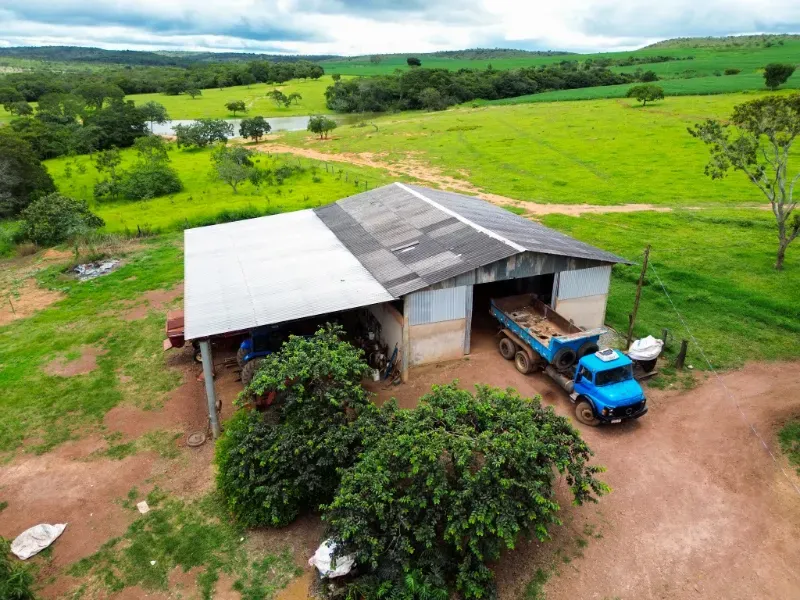 Fazenda em Flores de Goiás/Goiás — Ref 5581IP — Imagem 8