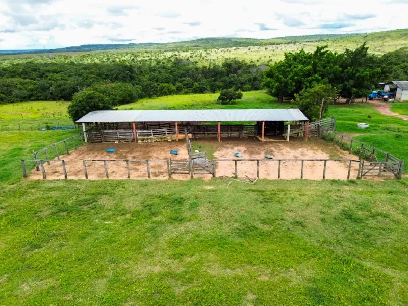 Fazenda em Flores de Goiás/Goiás — Ref 5581IP — Imagem 7