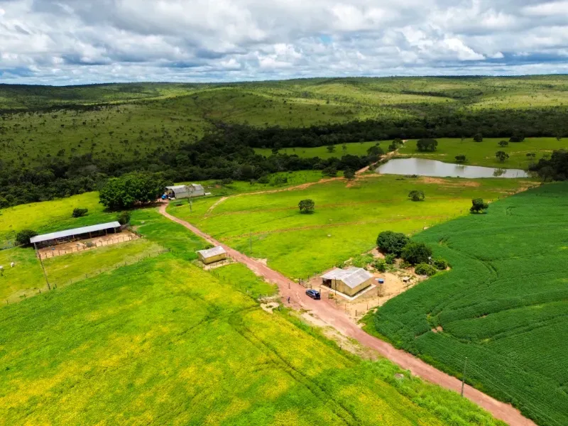 Fazenda em Flores de Goiás/Goiás — Ref 5581IP — Imagem 4