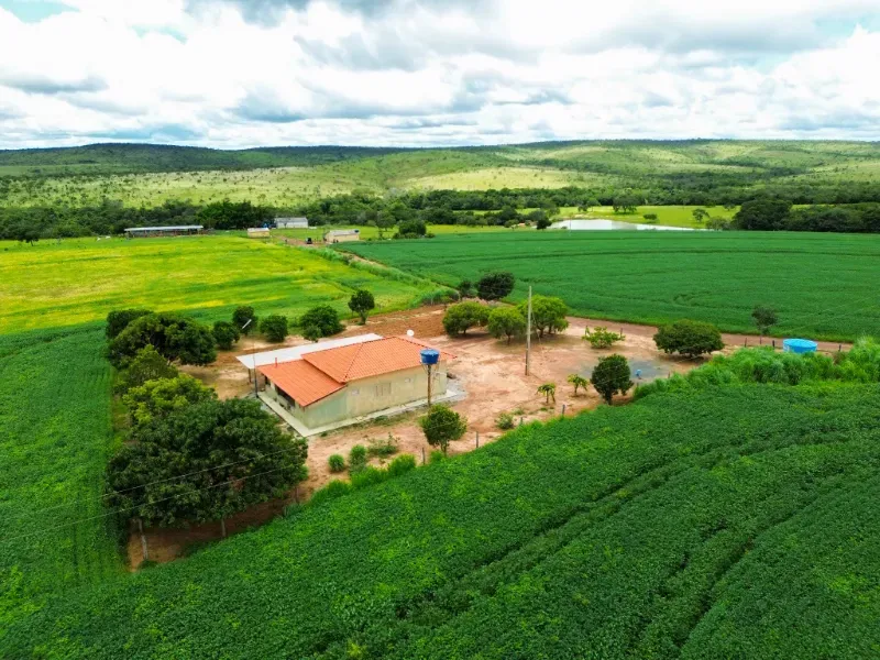 Fazenda em Flores de Goiás/Goiás — Ref 5581IP — Imagem 2