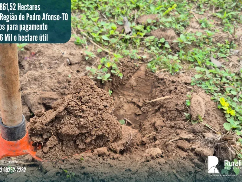 Imóvel rural em Pedro Afonso/Tocantins — Ref RE2GLR1