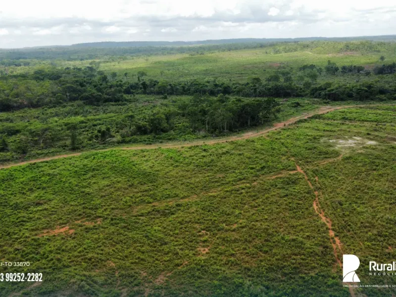 Fazenda em Pedro Afonso/Tocantins — Ref RE2GLR — Imagem 2