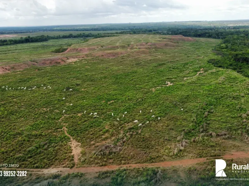 Fazenda em Pedro Afonso/Tocantins — Ref RE2GLR — Imagem 3