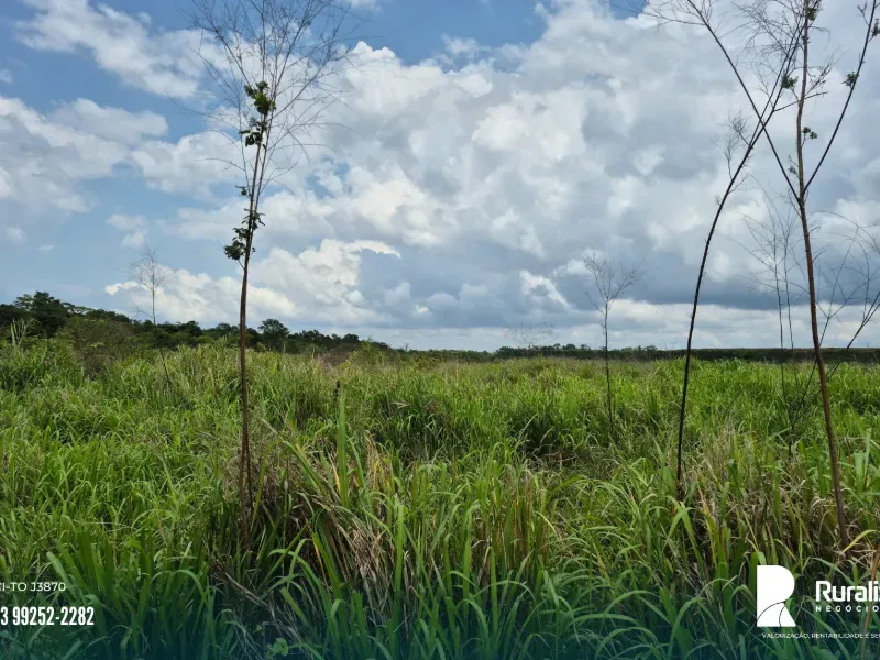 Fazenda em Pedro Afonso/Tocantins — Ref RE2GLR — Imagem 5