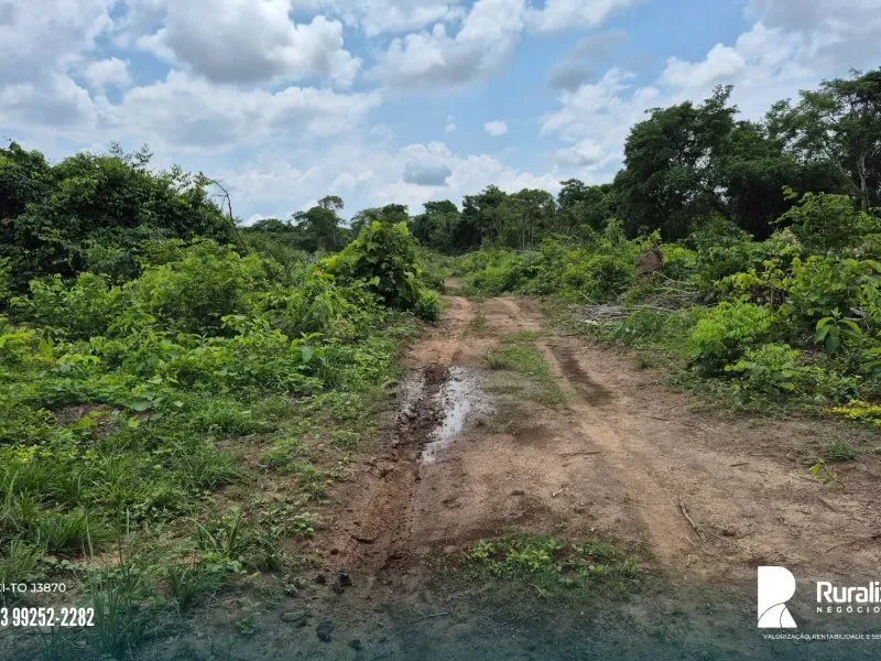 Fazenda em Pedro Afonso/Tocantins — Ref RE2GLR — Imagem 7