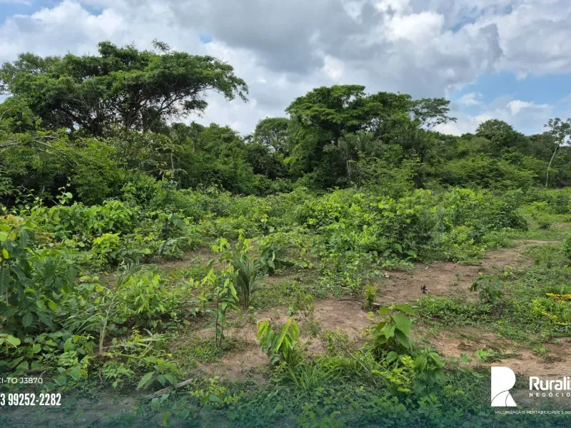 Fazenda em Pedro Afonso/Tocantins — Ref RE2GLR — Imagem 8