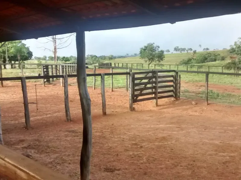 Fazenda em João Pinheiro/Minas Gerais — Ref KVXORQ — Imagem 10