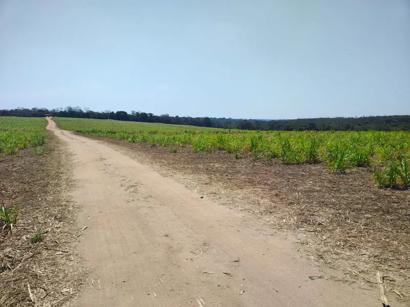 Fazenda em João Pinheiro/Minas Gerais — Ref KVXORQ — Imagem 2