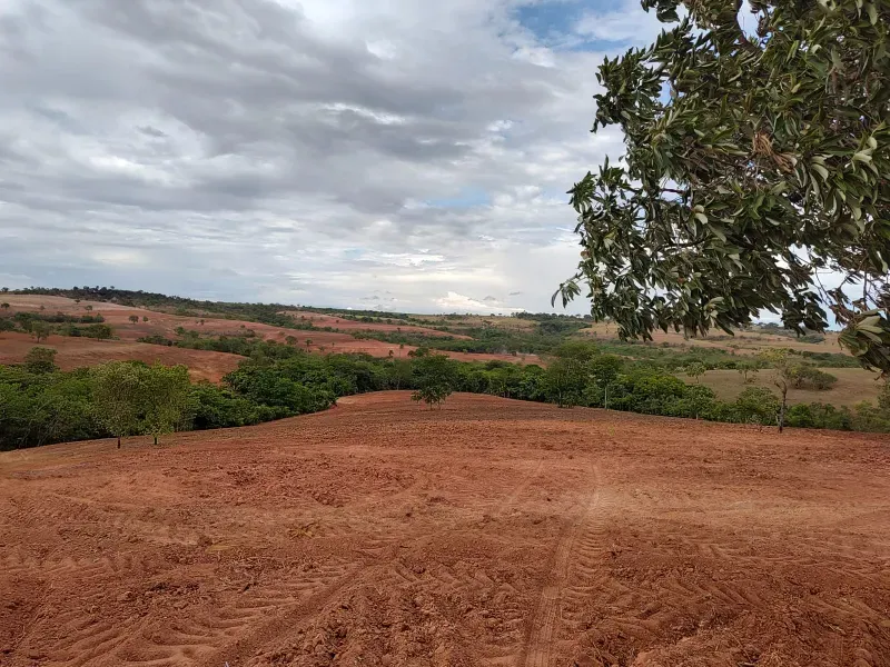 Fazenda em João Pinheiro/Minas Gerais — Ref KVXORQ — Imagem 3