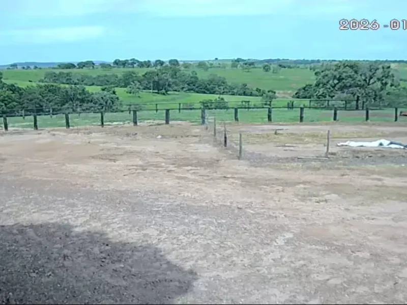 Fazenda em João Pinheiro/Minas Gerais — Ref KVXORQ — Imagem 4