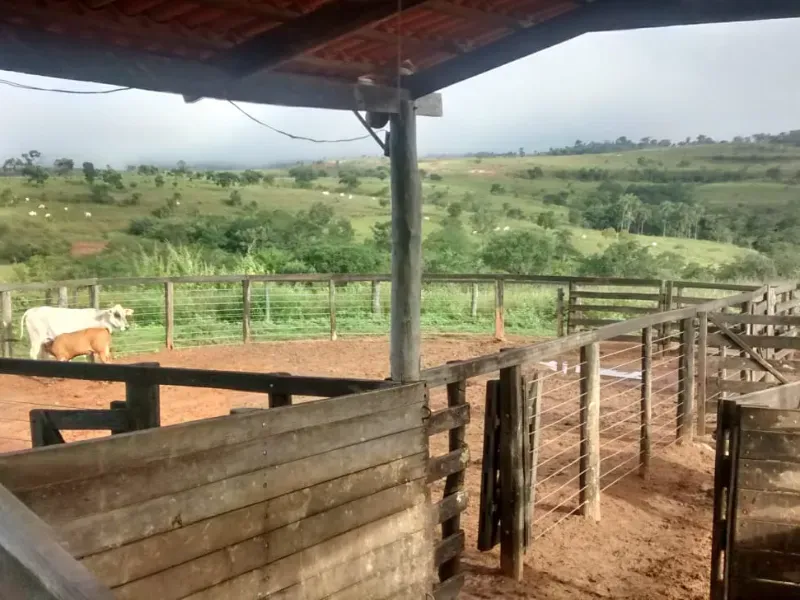 Fazenda em João Pinheiro/Minas Gerais — Ref KVXORQ — Imagem 15