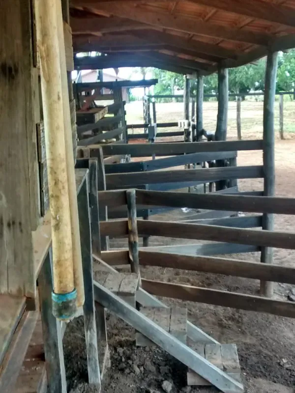 Fazenda em João Pinheiro/Minas Gerais — Ref KVXORQ — Imagem 14