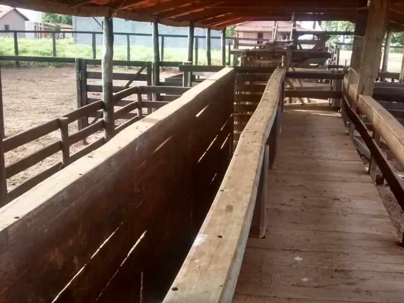 Fazenda em João Pinheiro/Minas Gerais — Ref KVXORQ — Imagem 13