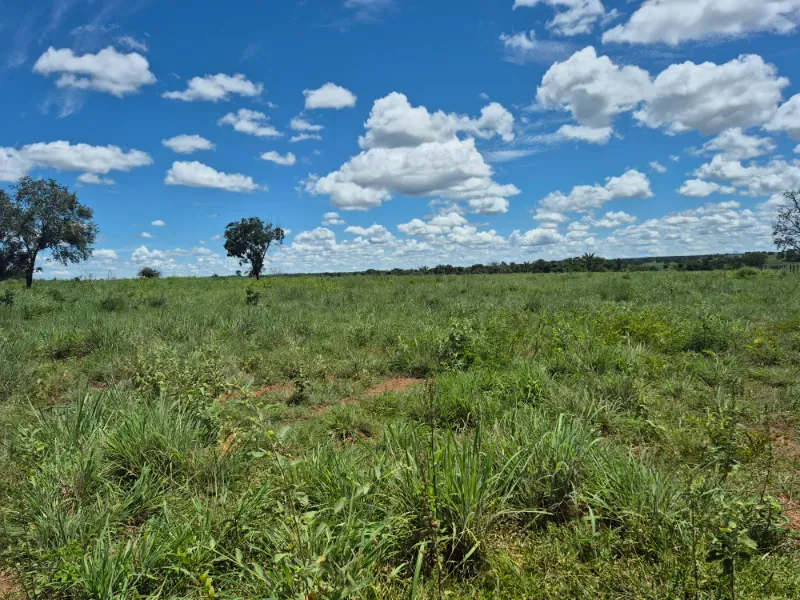 Fazenda em Araguaçu/Tocantins — Ref NQLG5B — Imagem 3