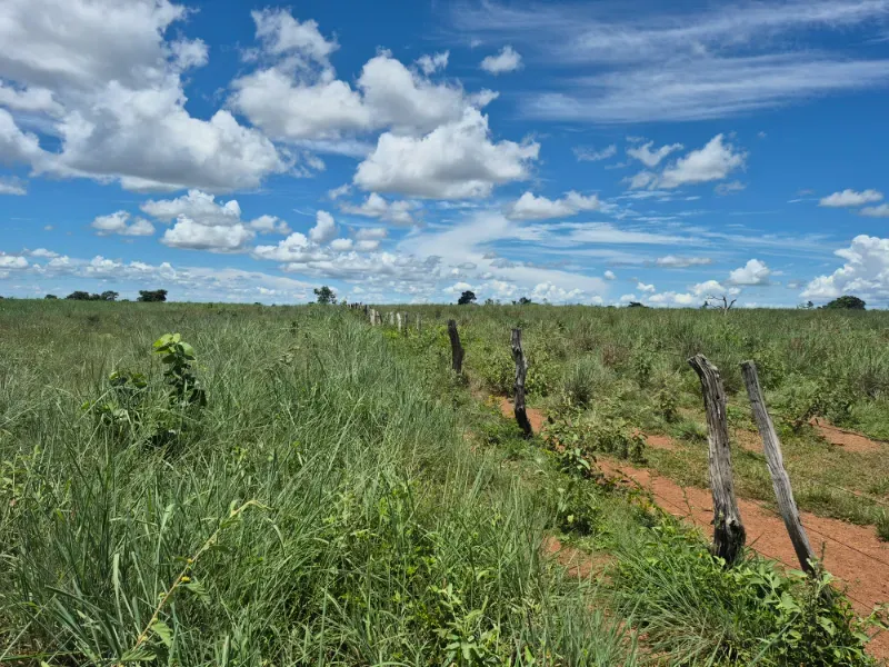 Fazenda em Araguaçu/Tocantins — Ref NQLG5B — Imagem 4