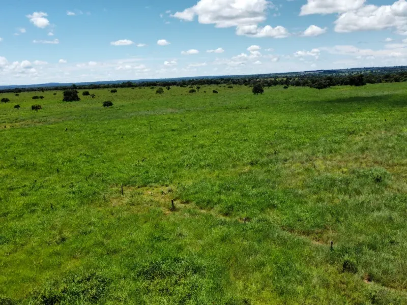 Fazenda em Araguaçu/Tocantins — Ref NQLG5B — Imagem 6