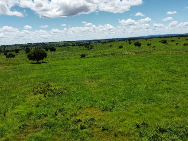 Fazenda em Araguaçu/Tocantins — Ref NQLG5B — Imagem 7