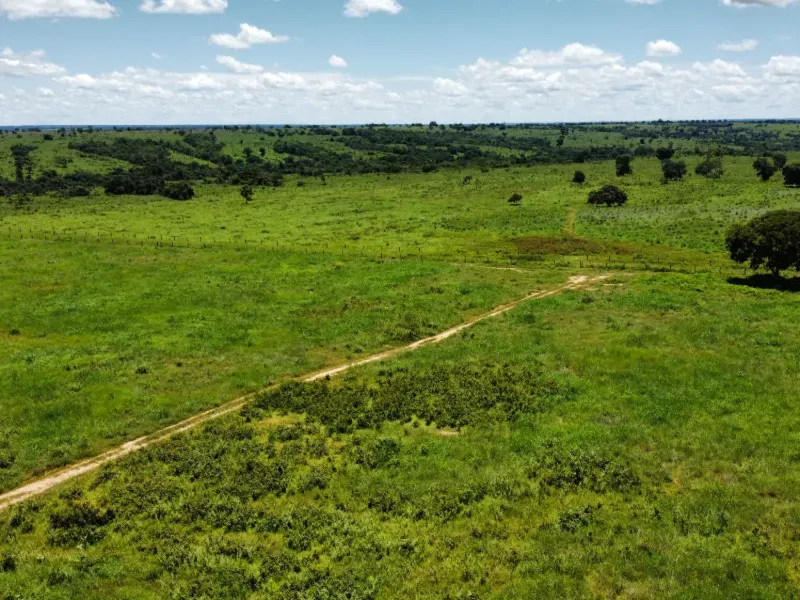 Fazenda em Araguaçu/Tocantins — Ref NQLG5B — Imagem 8