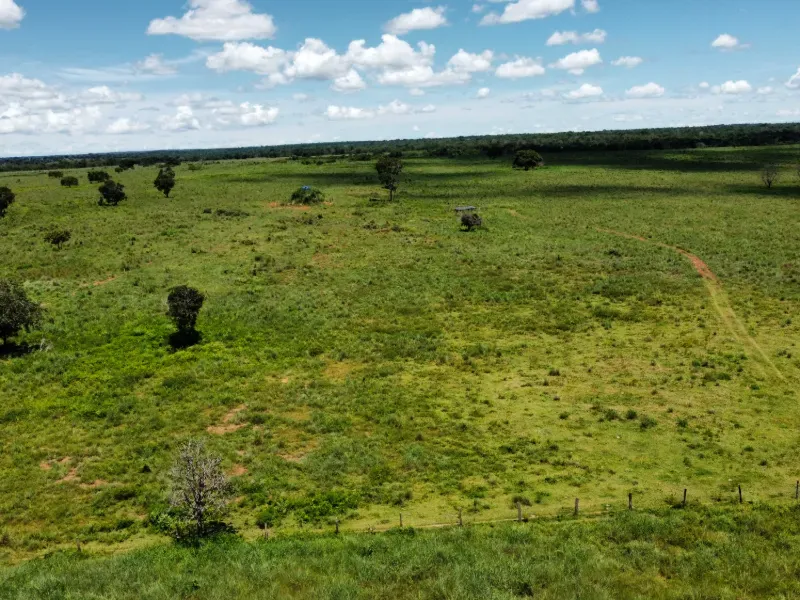 Fazenda em Araguaçu/Tocantins — Ref NQLG5B — Imagem 9