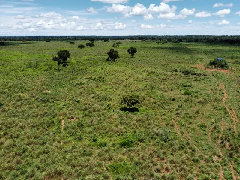 Fazenda em Araguaçu/Tocantins — Ref NQLG5B — Imagem 10