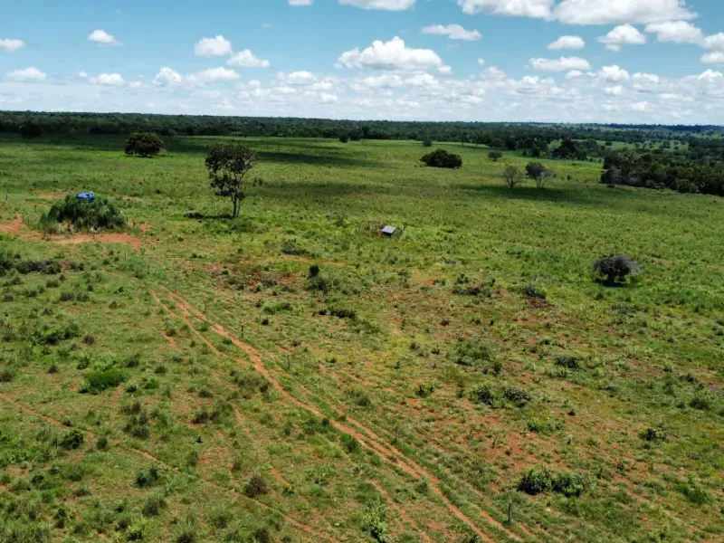 Fazenda em Araguaçu/Tocantins — Ref NQLG5B — Imagem 11