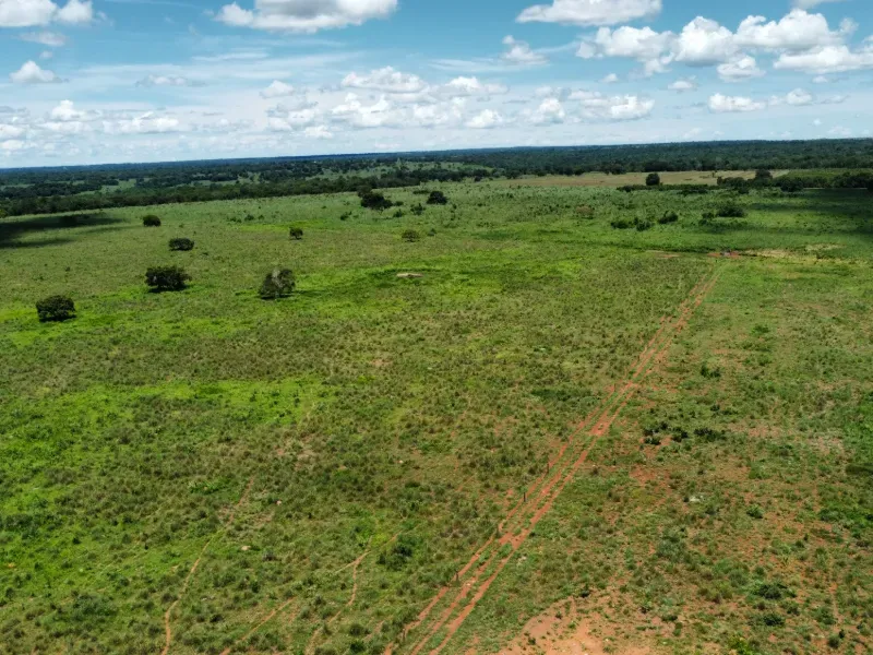Fazenda em Araguaçu/Tocantins — Ref NQLG5B — Imagem 12