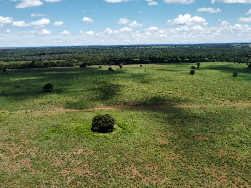 Fazenda em Araguaçu/Tocantins — Ref NQLG5B — Imagem 13