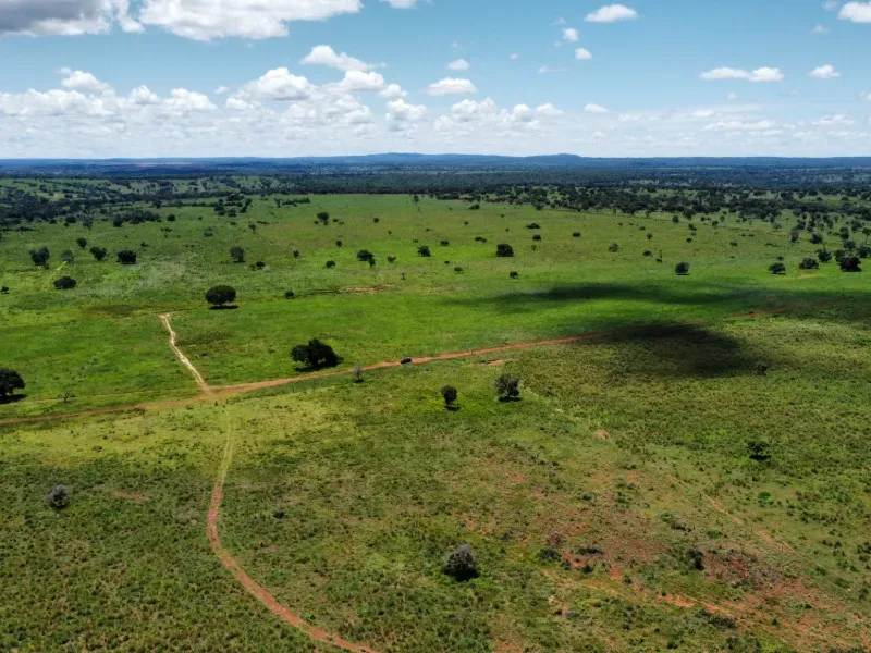 Fazenda em Araguaçu/Tocantins — Ref NQLG5B — Imagem 15