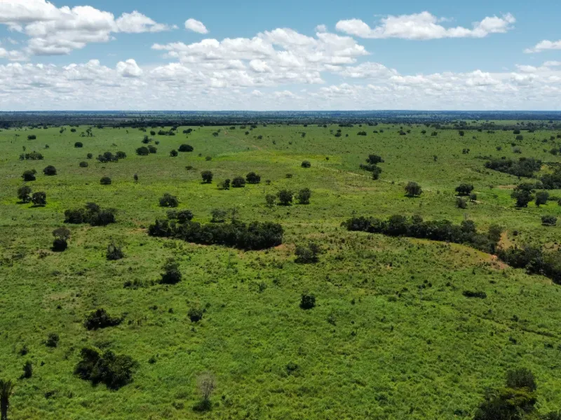 Fazenda em Araguaçu/Tocantins — Ref NQLG5B — Imagem 16
