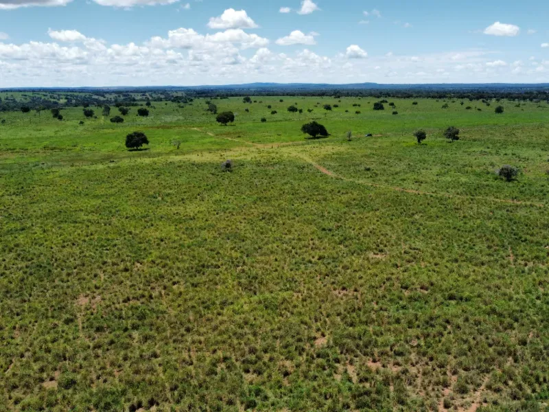 Fazenda em Araguaçu/Tocantins — Ref NQLG5B — Imagem 19