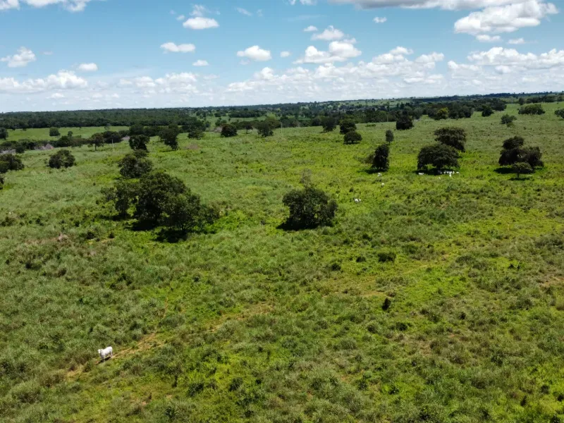 Fazenda em Araguaçu/Tocantins — Ref NQLG5B — Imagem 22