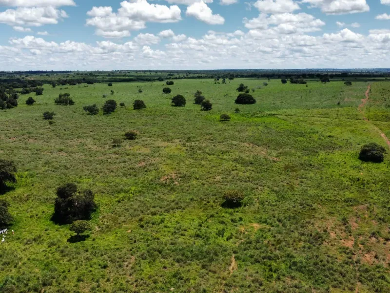 Fazenda em Araguaçu/Tocantins — Ref NQLG5B — Imagem 23