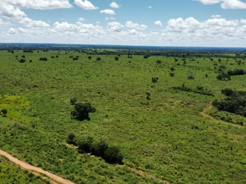 Fazenda em Araguaçu/Tocantins — Ref NQLG5B — Imagem 24