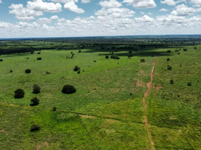 Fazenda em Araguaçu/Tocantins — Ref NQLG5B — Imagem 25