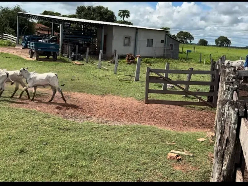Fazenda em Araguaçu/Tocantins — Ref Q8GSIH — Imagem 7