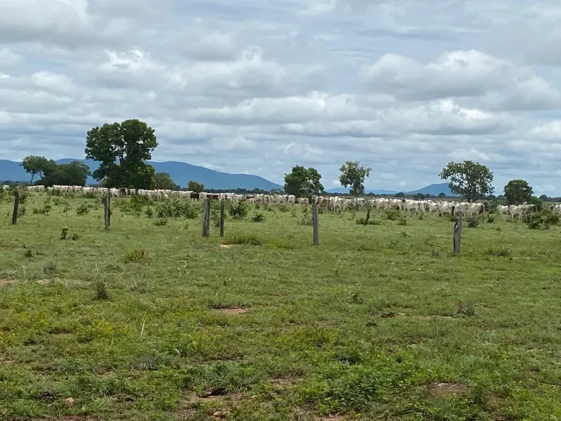 Fazenda em Araguaçu/Tocantins — Ref Q8GSIH — Imagem 4