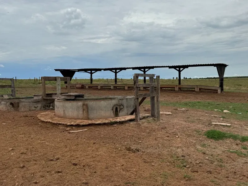 Fazenda em Tupirama/Tocantins — Ref Z0RHUO — Imagem 3