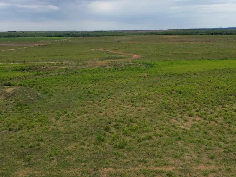 Fazenda em Tupirama/Tocantins — Ref Z0RHUO — Imagem 5