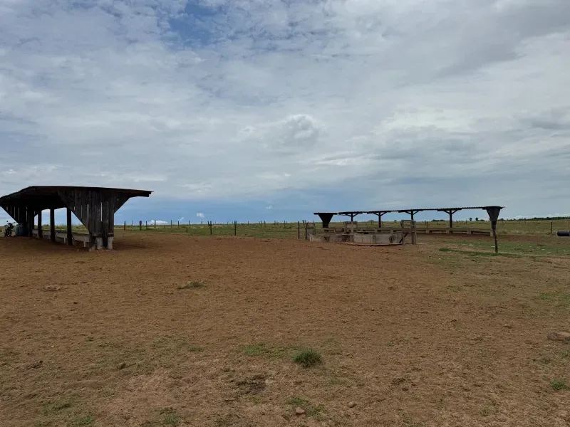 Fazenda em Tupirama/Tocantins — Ref Z0RHUO — Imagem 8