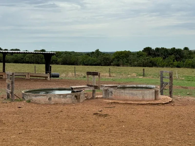 Fazenda em Tupirama/Tocantins — Ref Z0RHUO — Imagem 9