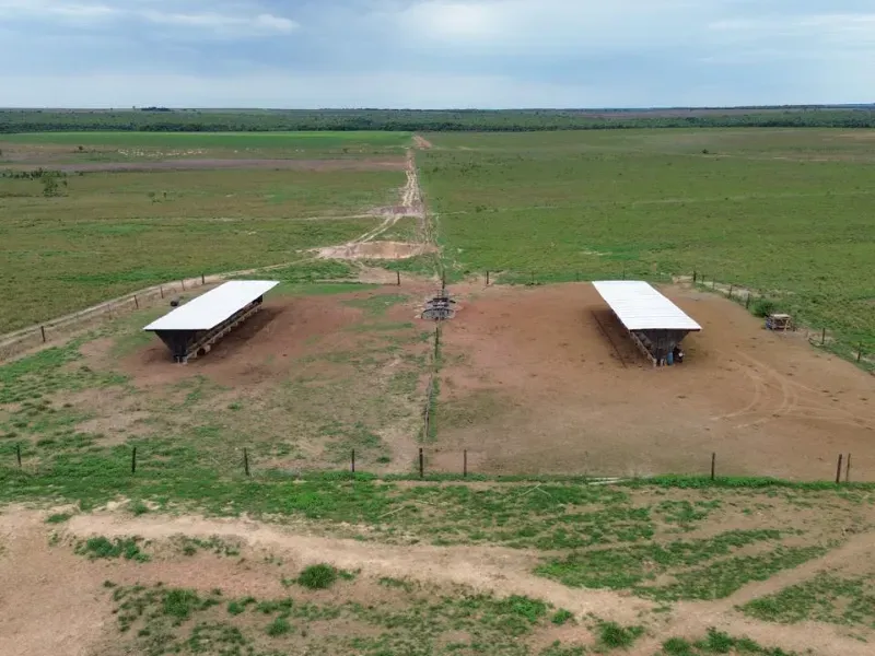 Fazenda em Tupirama/Tocantins — Ref Z0RHUO — Imagem 10