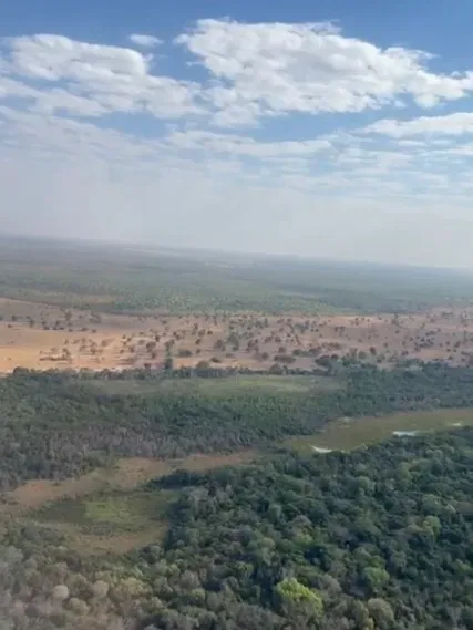 Fazenda em Araguaiana/Mato Grosso — Ref 08WLAP — Imagem 4