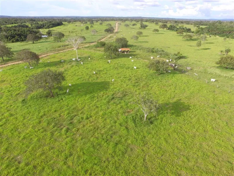 Imóvel rural em Pequizeiro/Tocantins — Ref 68H6JF1