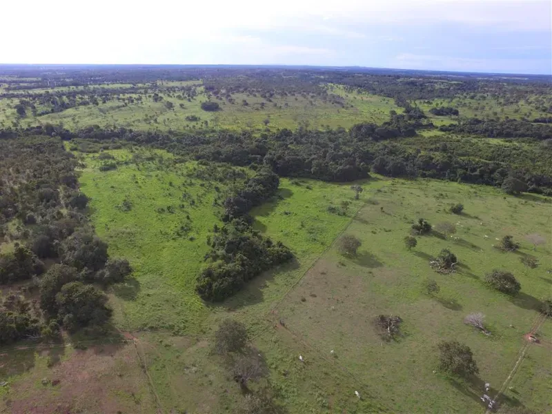 Fazenda em Pequizeiro/Tocantins — Ref 68H6JF — Imagem 3