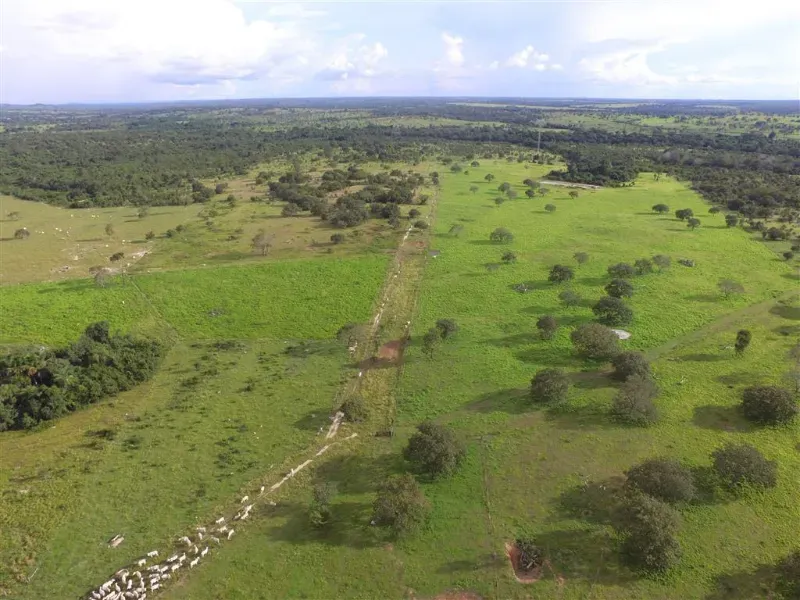 Fazenda em Pequizeiro/Tocantins — Ref 68H6JF — Imagem 4