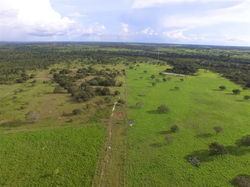 Fazenda em Pequizeiro/Tocantins — Ref 68H6JF — Imagem 5