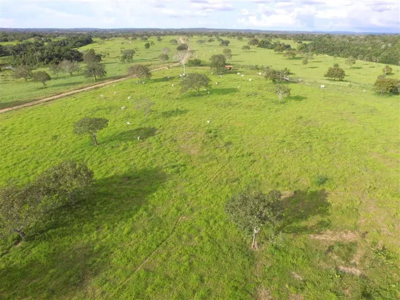 Fazenda em Pequizeiro/Tocantins — Ref 68H6JF — Imagem 6
