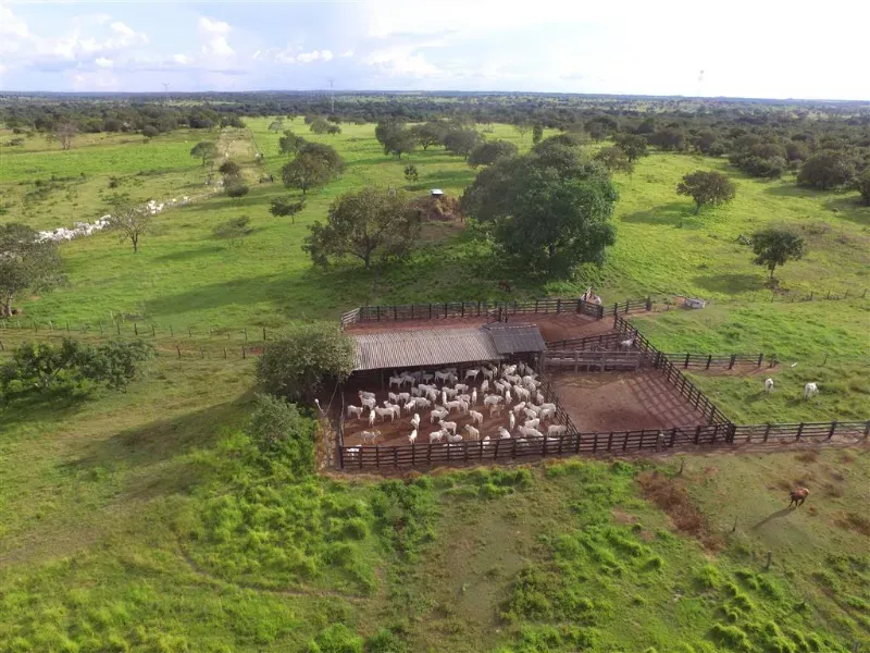 Fazenda em Pequizeiro/Tocantins — Ref 68H6JF — Imagem 7