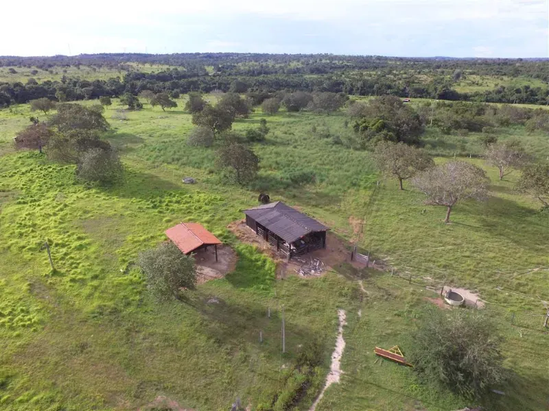 Fazenda em Pequizeiro/Tocantins — Ref 68H6JF — Imagem 9