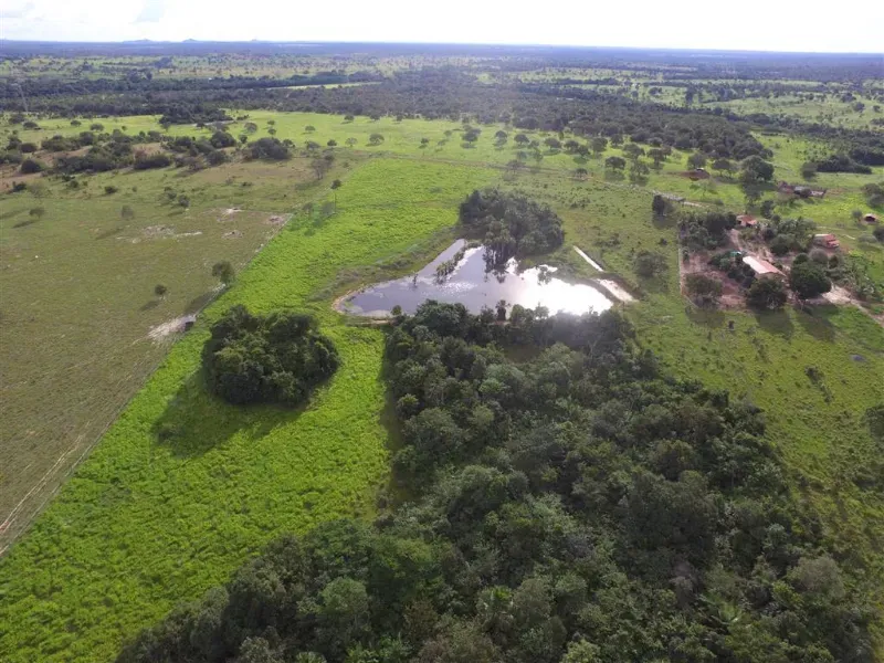 Fazenda em Pequizeiro/Tocantins — Ref 68H6JF — Imagem 10